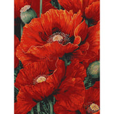 Pictures Painting by Numbers Poppies