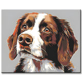 Malen nach Zahlen Hunde Irish Setter