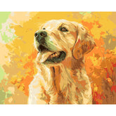Malen nach Zahlen hund beiger labrador