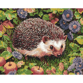 Malen nach Zahlen Tiere Igel mit Obst