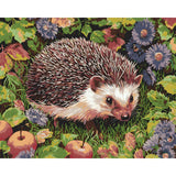 Malen nach Zahlen Tiere Igel mit Obst