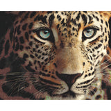 Malen nach Zahlen Leopard