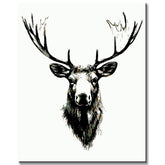 Malen nach Zahlen elchkopf