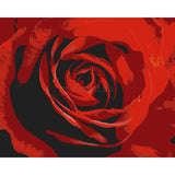 Grind after Zahlen für Erwachsene Rose