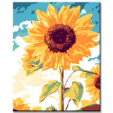 Paint by Numbers for Adults Sunflowers