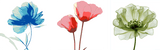 Malen nach Zahlen blaue Blume 3 Triptychon