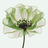 Grind to count green flower