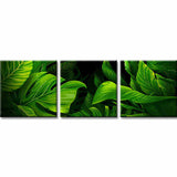 Malen nach Zahlen Blätter - 3-teilig (Triptychon)-SS-186-3-teilig