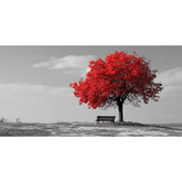 Grind nach Zahlen schwarz weiss Roter Baum