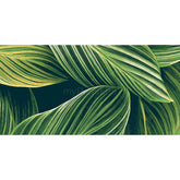 Painting by Numbers Plants Art Leaves