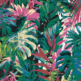 Grinding to Counting Plants