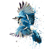 Malen nach Zahlen Vogel blau TierKunst
