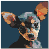 Malen nach Zahlen Chihuahua Hund TierKunst
