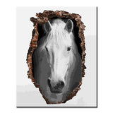 Malen nach Zahlen FotoKunst weißes Pferd in der Wand