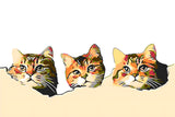 Painting by numbers art 3d three cat heads looking out of the wall