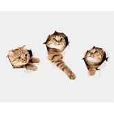 Malen nach Zahlen 3D Kunst drei Katzenköpfe gucken aus der Wand