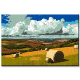 Malen nach Zahlen Kunst Natur Ein Feld im Sommer