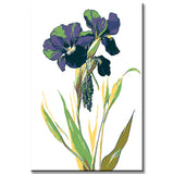 Malen nach Zahlen Kunst Natur Lila Blumen mit hängendem Kopf