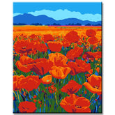 Paint by Numbers Poppy Field