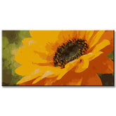 Painting by Numbers Sunflower in Bloom Shipping from DE