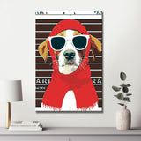 Malen nach Zahlen Kunst Verbrecherhund mit Sonnenbrille und Kopftuch