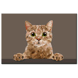 Malen nach Zahlen Kunst Tier Katze guckt ein an