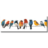 Painting by Numbers Art Animal Many Colorful Birds Sitting on Hangers on a Leash