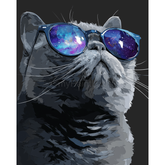Grind nach Zahlen Katze mit Brille