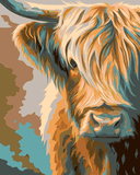 Malen nach Zahlen Schottisches Hochlandrind