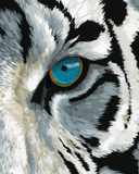 Grind after Zahlen Weißer Tiger with blue Auge