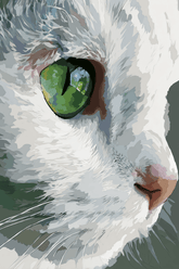 Grind nach Zahlen Weiße Katze mit grünem Auge