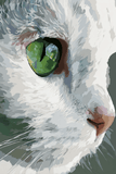 Grind nach Zahlen Weiße Katze mit grünem Auge