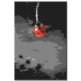 Malen nach Zahlen Springender Delphin Versand aus DE