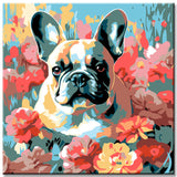 Malen nach Zahlen Tiermotiv Mops