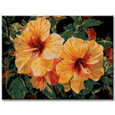 Grind after blooming iris orange