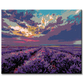 Grind after taking pictures of lavender fields