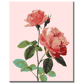 Grind nach Zahlen Blumen Rosa Rose