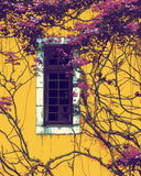 Grind nach Zahlen Rankpflanze lilac