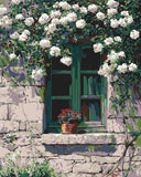 Malen nach Zahlen rankpflanze weiss