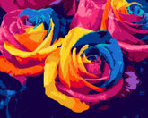 Grind nach Zahlen Blumen Rosen abstrakt