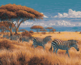 Grind after a few zebra herds