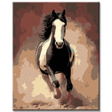 Grind after zahlen pferde schwarz weisses pferd