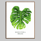 Malen nach Zahlen pflanze