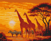 Grind after the Giraffe and Zebras