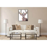 Malen nach Zahlen für Erwachsene Tiere Elch Hawai