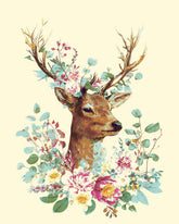 Painting by Numbers for Adults Animals Moose Hawaii