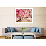 Malen nach Zahlen Bilder Kirschbaumallee