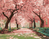 Grind after the pictures of the Kirschbaumallee