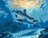 Malen nach Zahlen für Erwachsene Delfine