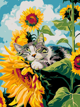 Grind after the sun shine